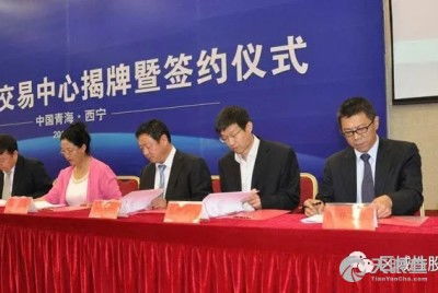 中金瑞石投資管理有限責任公司